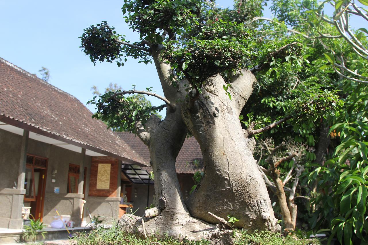 Jerogadung House Ξενοδοχείο Ουμπούντ Εξωτερικό φωτογραφία